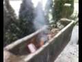 videos de big bang & zenga