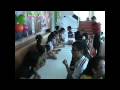 videos de Sinh nhật Dulo HD Video Clip Vol.1