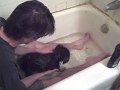 Ipo's first bath