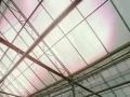 So sieht Klimaschutz aus. Der PLEXIGLAS� Vodcast / Folge 1