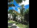 Vacation rental St Martin- St Marteen- Villa,fun scuba