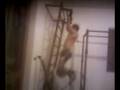 videos de trazioni sbarra +12 kg