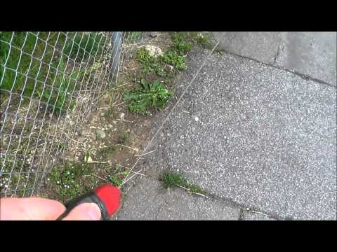 Gassi gehen mit Roll Leine - Erklärvideo