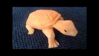 POTATO TURTLE