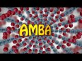 Queen's AMBA 2008 / Toronto B Creativity Performance