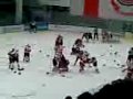 Витязь - Авангард 2010