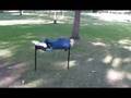 videos de Rewind