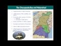 Chesapeake Bay Restoration