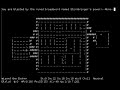 Nethack - powers of wizard mode