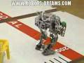 Wonderful-Robot-Carn