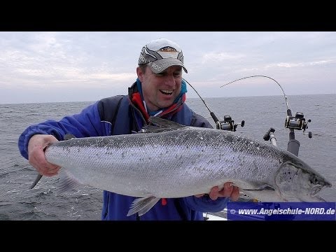 Lachs: Modernes Schleppangeln vor Rgen - Trolling auf Lachs