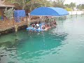 Blue Lagoon Island Dolphins excursion