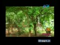 100511  Ente veedu dream home kerala  04 