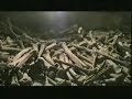 The Catacombs of Paris