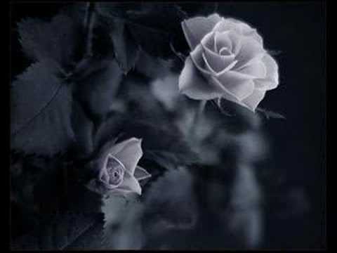 LETRA DE LA CANCION ALL BY MYSELF DE CELINE DION letra de la cancion all by myself de celine dion: