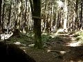 Whoosh 2