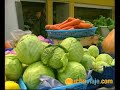 horta  azores    viajes a horta  muchoviaje   youtube