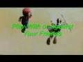The WobBa Super Smash Bros. Brawl Kickoff Tournament