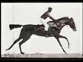 Muybridge Short Clip