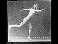 Muybridge Short Clip