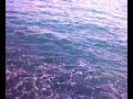 eu em ilhabela eu em ilhabela