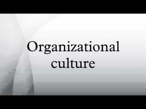 how to define organisational values