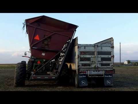 how to store pumpkins after harvest