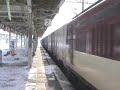 An ED75 hauls a freight on the Tohoku line through Hiraizumi