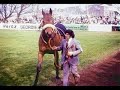Red Rum