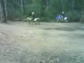 a few motorbike jumps