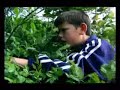 Reklam kosova shqip kosova tv video albanian