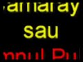 camaraya   imnul pulii