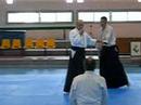 aikido - sensei nebi at the spring seminar tell aviv 2007 c