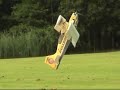 BullDog EPP Pitts S2 3D plane BullDog EPP Pitts S2 3D plane