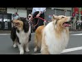 Click here to watch this video Mlzuki Shigeru Road