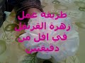 اصنع بنفسك زهور القرنفل الجميلة 