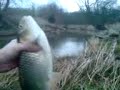 Chubbin on the arrow part 3