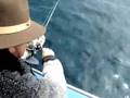 Meros - El Barco - Pesca Deportiva