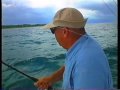 Costa Rica Rooster Fish 2