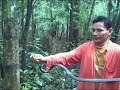 Cliver catches a whipsnake that Doug spotted