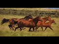 iStockvideo - Quality Stock Footage from iStockphoto