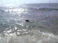 Misti Kaye Take a Dip in Yukky Water