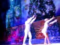 Radio City Music Hall christmas show 2 Radio City Music Hall christmas show 2