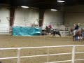 boulder County Roping 024.mpg