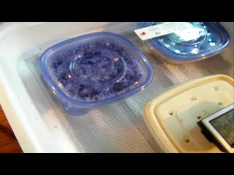 How to make egg incubator from a refrigerator | incubator Chicken