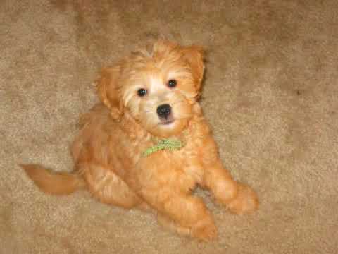 Missing My Baby