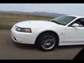 2004 Cobra SVT vs. 2006 GTO