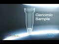 Genome Sequencer FLX System Workflow Genome Sequencer FLX System Workflow