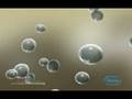 Genome Sequencer FLX System Workflow