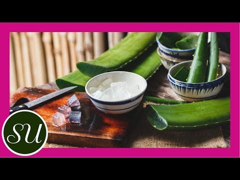how to repair uv damaged skin